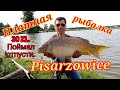 РЫБАЛКА НА ПЛАТНОМ ОЗЕРЕ В ПОЛЬШЕ. PISARZOWICE 30 ZL ЗА ДЕНЬ.