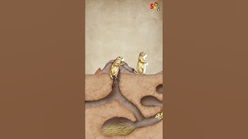 Surviving in Deserts | #education | #2danimation | #learn