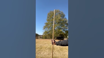 How to Measure a Tree With a Broomstick #measurement #howto #farming #treehealth #themoreyouknow #1k