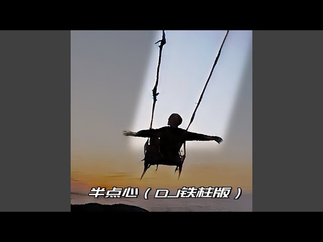 半点心 (DJx77铁柱版)