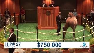 Celebrity The Saratoga Sale (2016): Hip 27 c. Tapit sells for $750k Profile