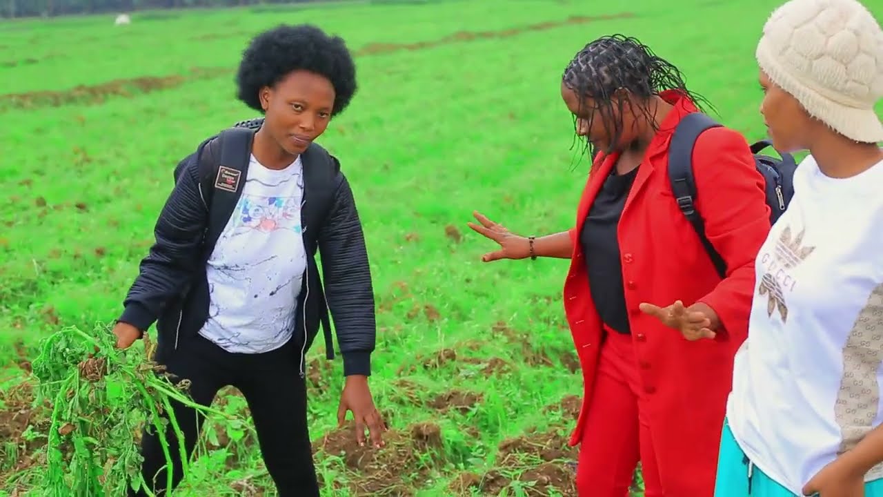 Mammy Aline na Anitha bageze mu kinigi babigisha guhinga ibirayi