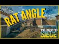 Siege PRO League Tips | RAT Angle | Rainbow Six Siege