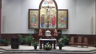 Holy Mass - July 13, 2026