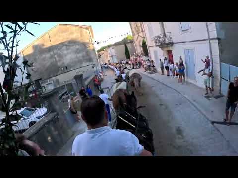 Saint Eloi Boulbon 2026 3