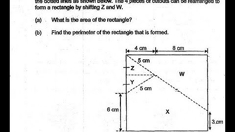 P6 2019 SCGS Prelims  Q14 - Non routine Area Perimeter | Square paper parts W X Y Z | PSLE Maths