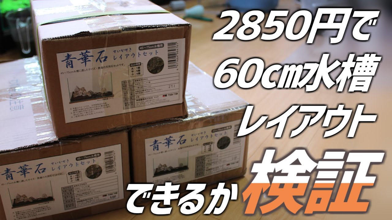 水草を赤くする 衝撃事実 水槽に使用する園芸用液肥の成分量からコスパがいいのかを徹底解明 メネデール 92 アクアリウム Youtube