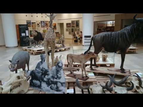 Videó: A Brit Természettudományi Múzeum Tudósát Elbocsátották, Mert Látta Nessie - Alternatív Nézet