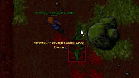 The Snapper - crocodile boss.wmv