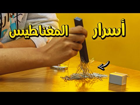 ليه المغناطيس مغناطيس