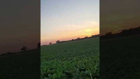 لحظات مميزة عند 0:00 - 3:47 من مساء الطبيعة والراحه النفسية مع غروب الشمس🌄