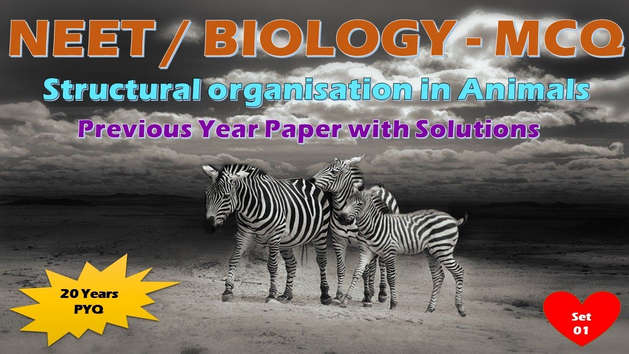 NEET Biology / Structural organisation in Animals / Most Expected ...