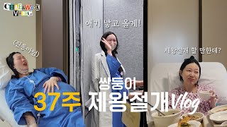 [출산Vlog] 제왕절개 할 만한데? (Feat. 엉덩이 주사) | 37주 출산 브이로그