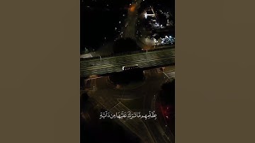 تلاوة هادئة -  ولو يؤاخذ الله الناس بظلمهم ما ترك عليها من دابة
