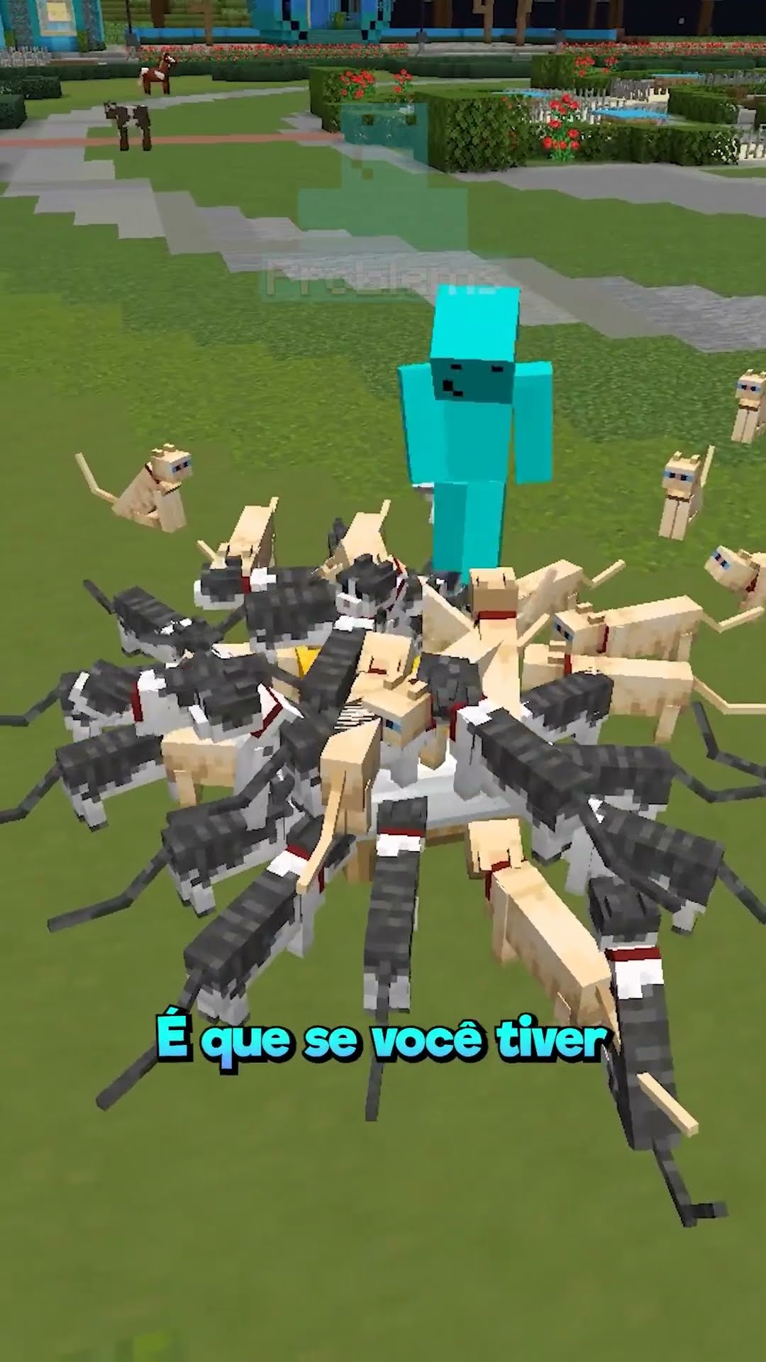 Farm de Itens Com Gatos!