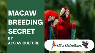 Macaw Breeding Secret by AL'S AVICULTURE | Be an Expert of Macaw Breeding by our secret tips & trick screenshot 3