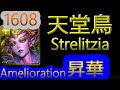 【神魔之塔】天堂鳥 - 昇華【1608昇華】【1608-折落驕傲‧天堂鳥】【妖嬈花夢】