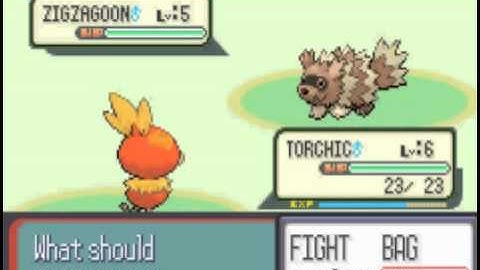 Pokemon Ruby speed run: part 1