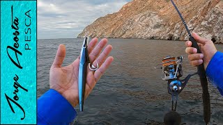 Pescando con JIG - Yellowtail en El Mar de Cortés