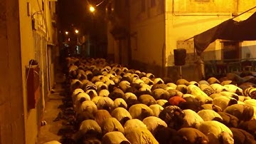 صلاة التراويح مسجد الجابري القارئ نجم الحسن 5رمضان 1434 2\1