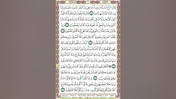سورة البقرة /المنشاوي/ص 11