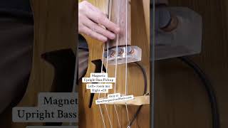 Play loud & w/ effects. NewPerspectivesMusic.com #bass #uprightbass #doublebass #rockabilly #bassist