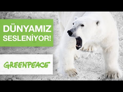 Video: Greenpeace Aktivistlerinin Bir Kar Kapsülü Kurduğu Yer