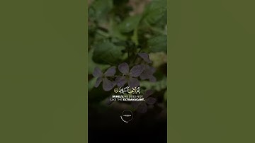 تلاوة خاشعة لا توصف بجودة عالية بصوت القارئ يوسف عثمان راحة نفسية حالات واتس اب من سورة الاعراف
