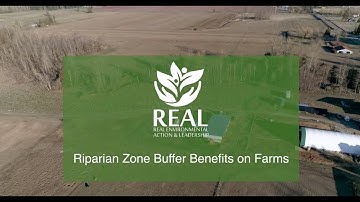 Riparian Zone Buffer Benefits on Farms