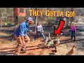 These Geese Have GOT To GO!! (This Farm Life)