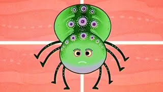 Tinga Tinga Tales   Why Spider Has A Tiny Waist    Episodes  Kids Cartoon