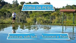 Prévia - Técnicas soft Bait | Tucunaré e Traíra | Teoria da Pesca screenshot 5