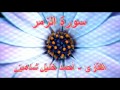 أحمد خليل شاهين سورة الزمر 