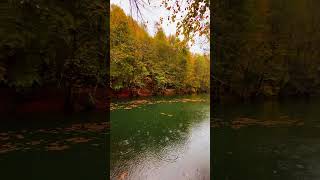 Yedi göller de son bahar #gezi #travel #tatilvlog #nature #camping #karadeniz #deniz #doğa #seyahat Yedi göller de son bahar #gezi #travel #tatilvlog #nature #camping #karadeniz #deniz #doğa #seyahat