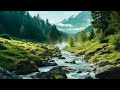 Nature Sounds &amp; Relaxing Classical Music-Sound of Birds Singing