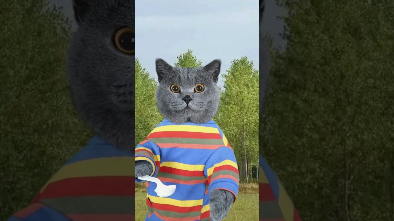 Cheerfully Knock On The Pan But Where's My Spoon? 😳🥄