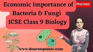 Economic Importance of Bacteria & Fungi | ICSE Class 9 Biology screenshot 3