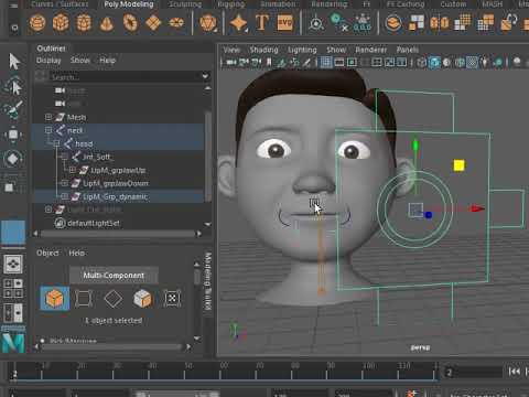 Lip Rig Easy V0.2