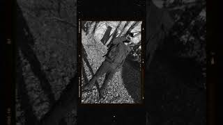 Civilian (leak) (Feb 2019) Profile