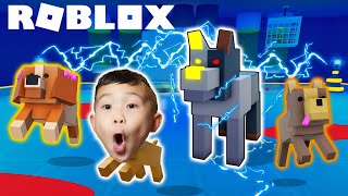 Can We Beat The SECRET ENDING in ROBLOX PET STORY!? Kaven Gaming