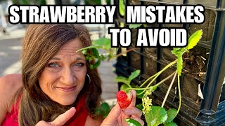 Strawberry Growing Mistakes to Avoid at All Costs