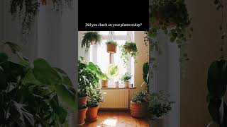 Catch houseplant diseases early with the 'Rooted' app (App store link in bio) 🪴
