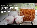 GARLIC HONEY - preserve the harvest with an easy, delicious, healthy tonic | GroundedHavenHomestead