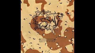 The Grey Wolves / Vatican Shadow - Sickness In The Right / Gulf War Syndrome (Full Album)