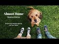 Benji 2018 Theme Song Almost Home Stephen Bishop FULL SONG Benji 2018 Theme Song Almost Home Stephen Bishop FULL SONG