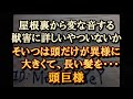 【洒落怖】屋根裏から変なが音する。そいつは頭だけが異様に大きくて…『屋根裏の害獣』
