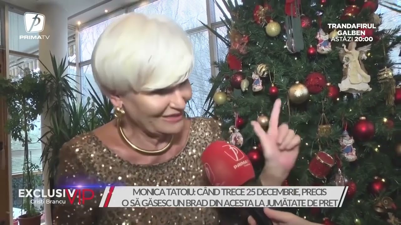 12 zile cu Cristi - SENZAȚIONALA POVESTE A BRADULUI MONICĂI TATOIU