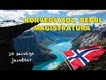 1-VLOG. NORVEGIYADA BEPUL MAGISTRATURADA O´QISH 🇳🇴