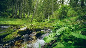 إن الصلاة كانت على المؤمنين كتابا موقوتا " تلاوة رائعة بصوت جميل