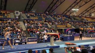 DAVTYAN Artur ARM VT FINAL QAT2017